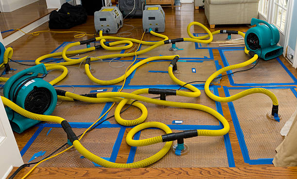 Professional Basement Flood Cleanup technician working in Ladson, SC